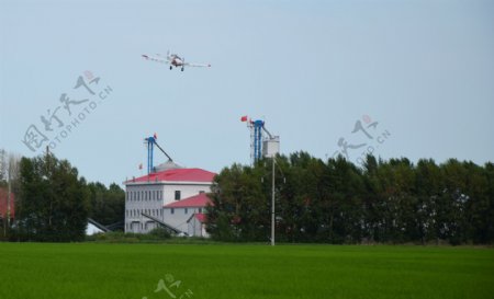 现代农业水稻飞机喷图片