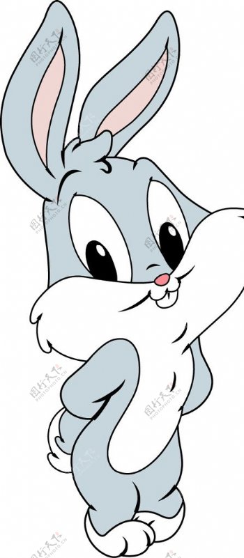 可爱的灰兔子卡通漫画图片