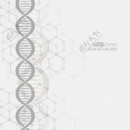 基因DNA图片