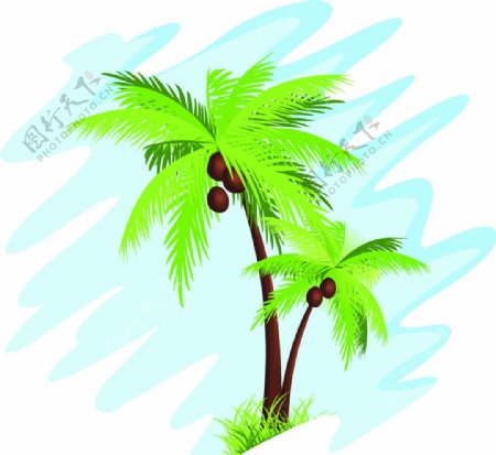 椰树分层图片