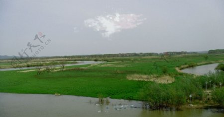 东方湿地图片
