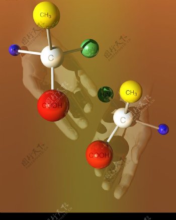 分子模型09图片