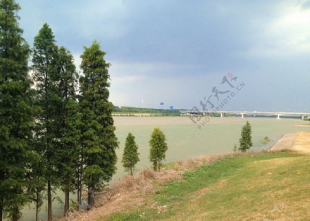 东平江堤岸春色图片