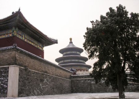 天坛冬景图片