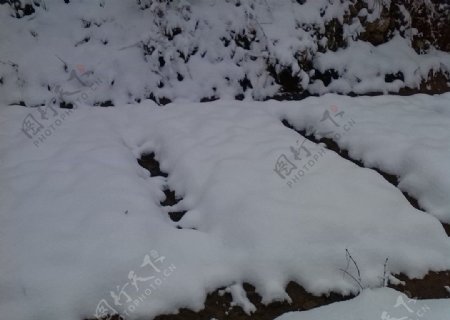 雪中地图片