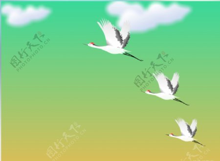 三只白鹤飞过flash动画