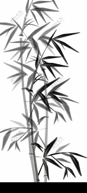 竹子生长的flash动画