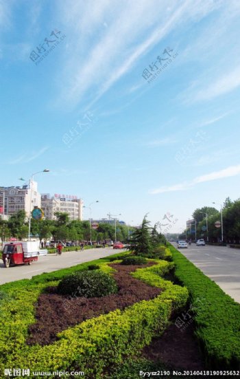 阳谷黄山路绿化图片