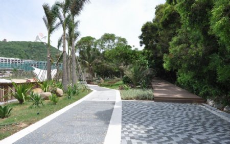 珠海园林绿化铺装素材图片