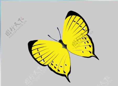 黄色的蝴蝶flash动画