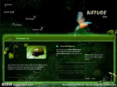 大自然生物网站