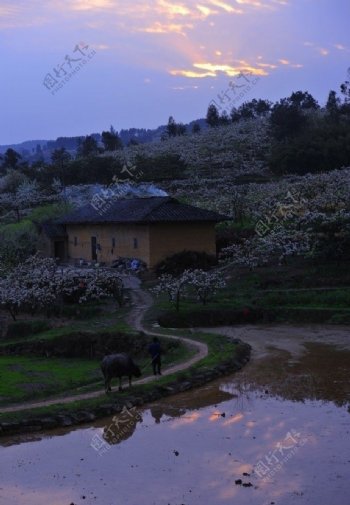 黄瓜山之春图片