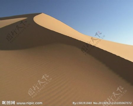 沙漠风情骆驼沙漠