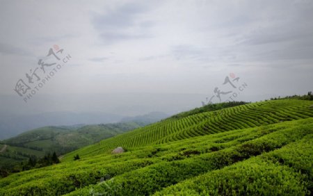 宁波福泉山图片