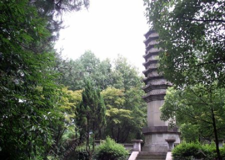 朱丹溪陵园景点之望塔图片