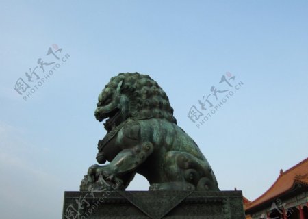 故宫铜狮图片