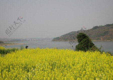 家乡风景图片