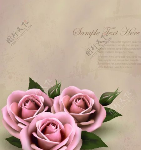 玫瑰花信纸图片