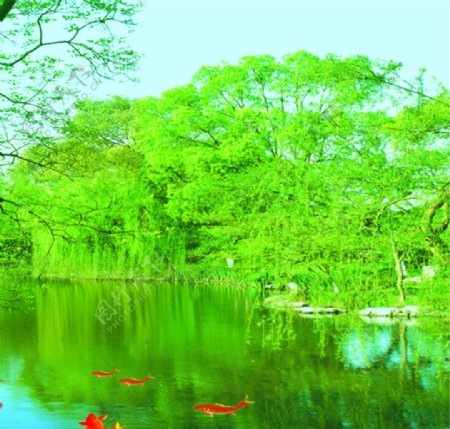 湖水树木风景图片