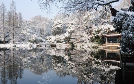 冬日苏州园林图片