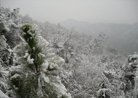 山顶上的雪景图片
