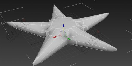 海星3D模型图片