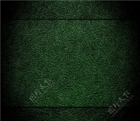 绿色皮革图片