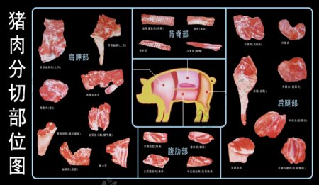 猪肉分解图图片