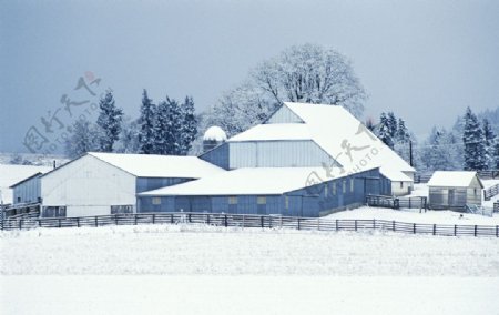 农场国外农场乡村风景草原草地绿色大气植物雪景大雪图片