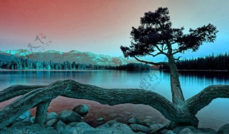 湖面晚霞风景图片