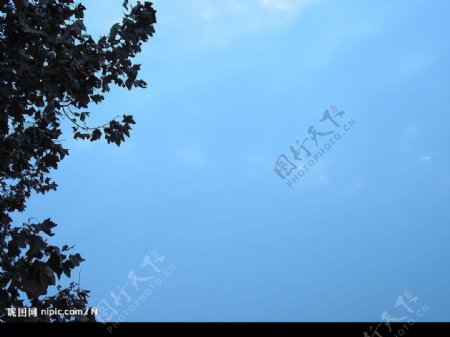 美树蓝天白云图片