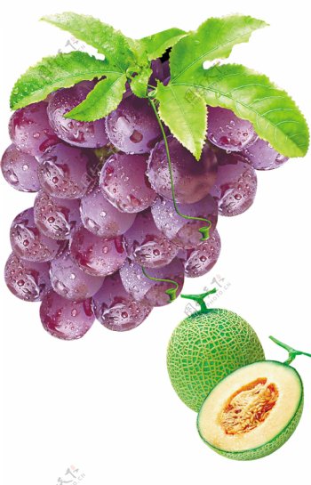 紫串葡萄整个半个哈密瓜图片