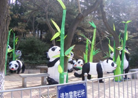 熊猫花灯图片