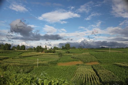 田野图片