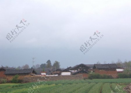 农村风景图片