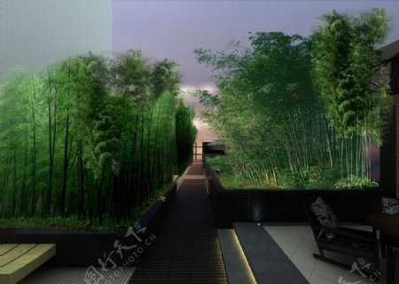 竹林景观图片