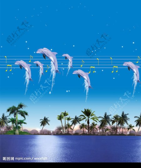 音乐海豚图片