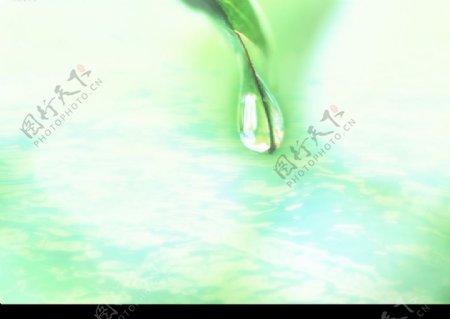水叶水滴水纹阳光图片