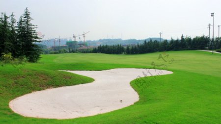高尔夫俱乐部球场图片