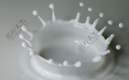 牛奶皇冠图片