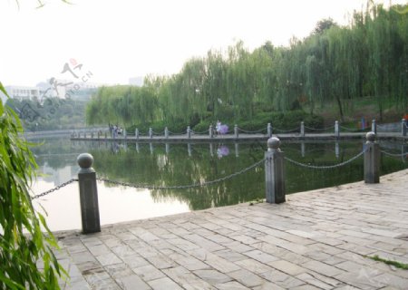 南昌大学前湖校区风景图片