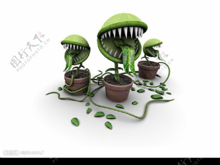 3d植物图片