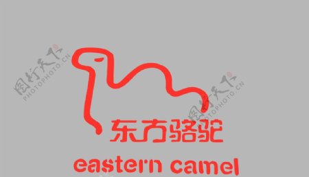 东方骆驼图片
