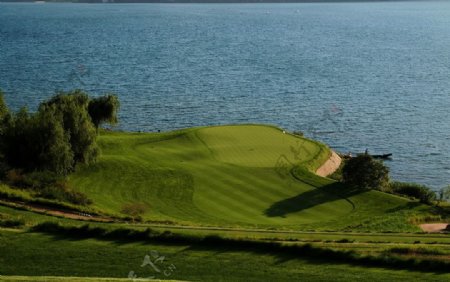 高尔夫球场景观之湖边果岭二图片