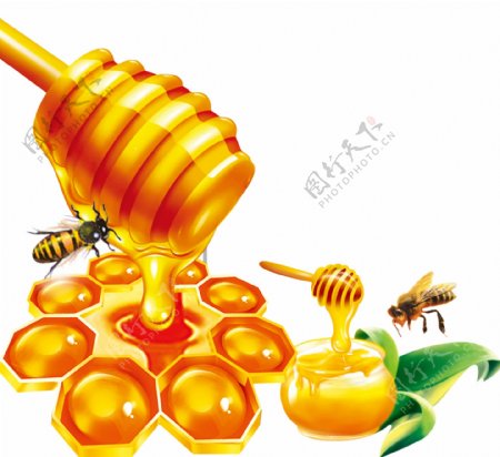 蜂蜜包装素材图片