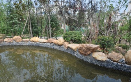 温泉池石头图片