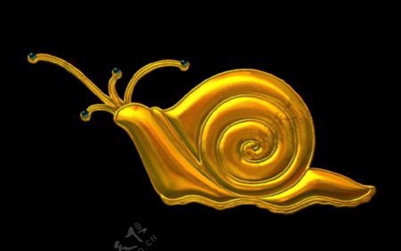 黄金蜗牛图片