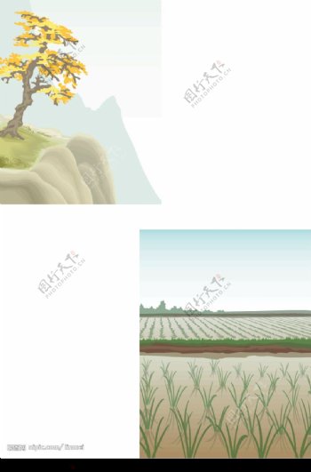 稻田与自然图片