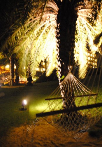 椰林夜景吊床图片