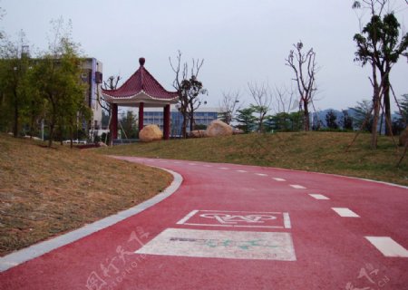 中山绿道图片